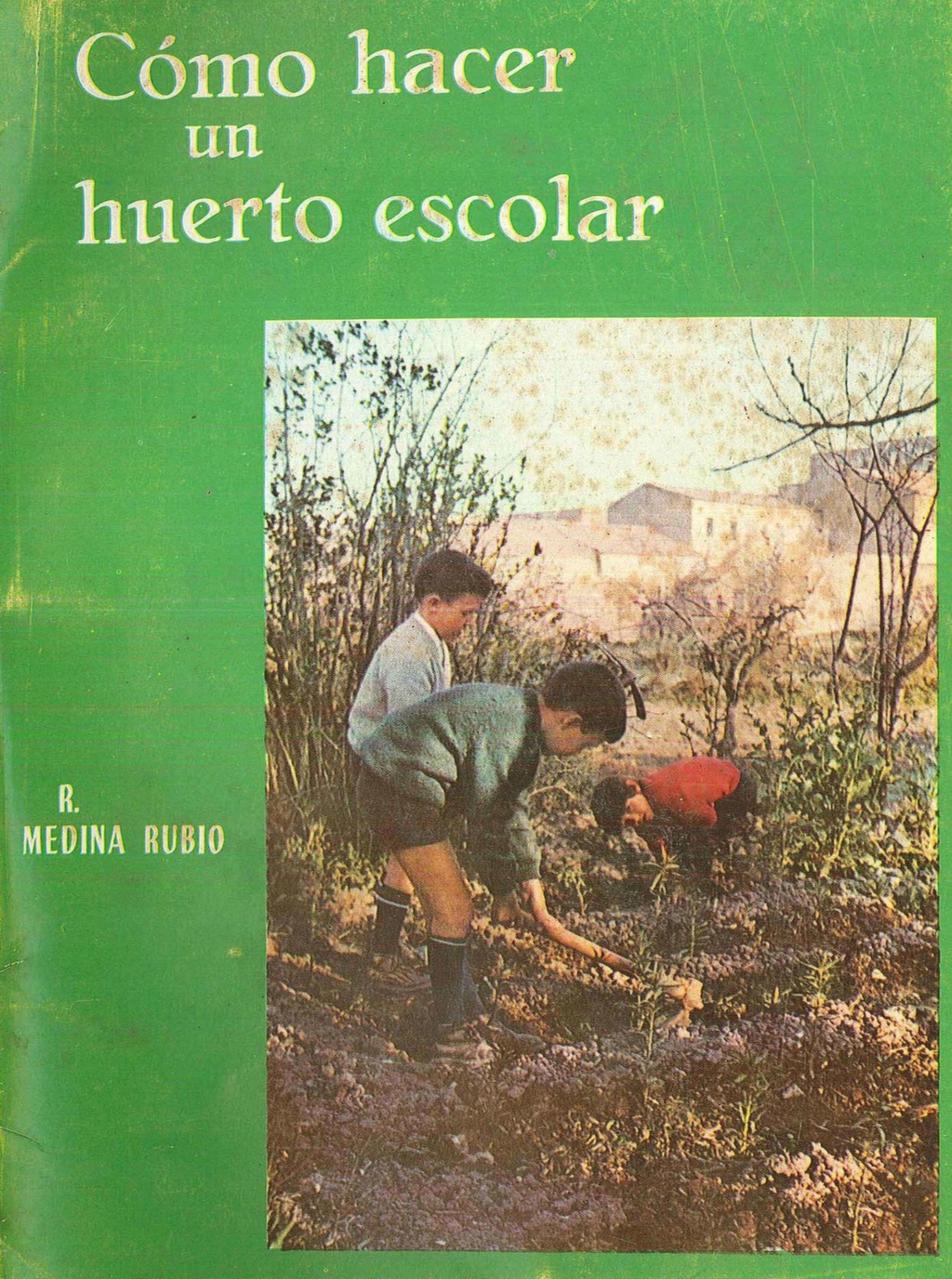 Cómo hacer un huerto escolar