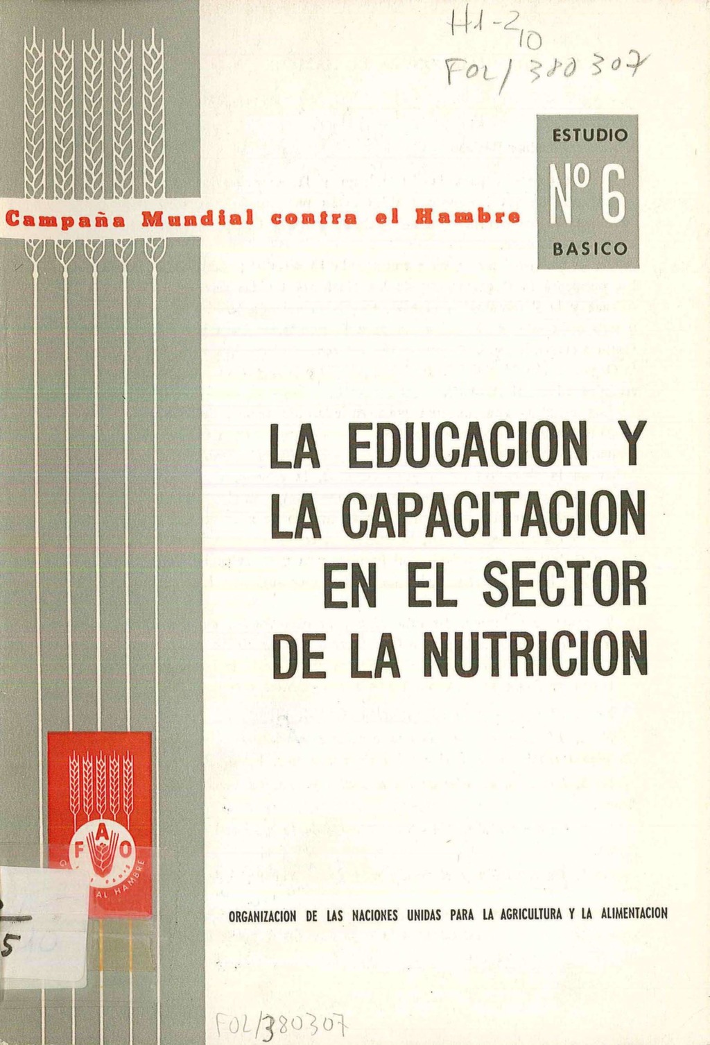 La educación y la capacitación en el sector de la nutrición