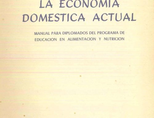 La economía doméstica actual